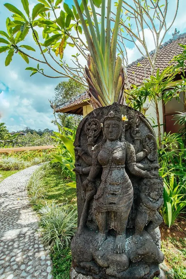 Sunset Hill Hotel Ubud  Indonesia